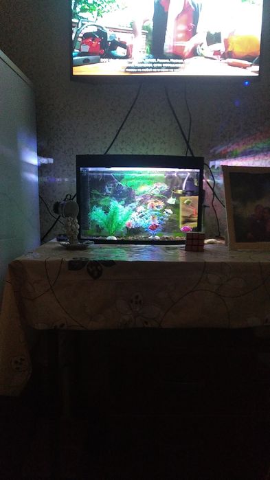 Аквариум (20 литр.) вместе с оборудованием и рыбами