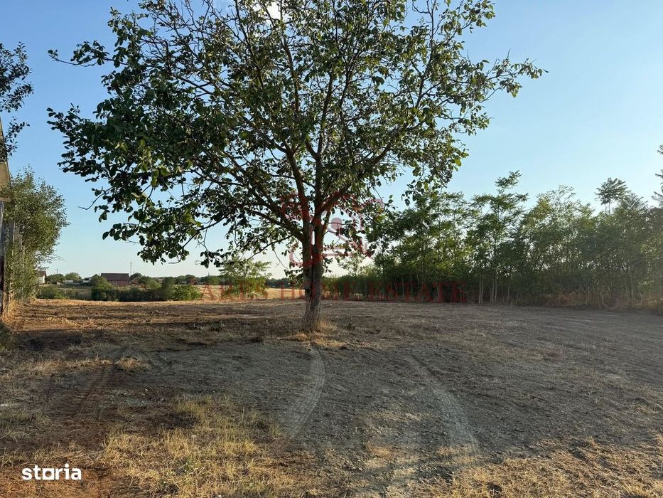 Teren intravilan 2.192 mp cu front 20 m – Seceani, Timiș