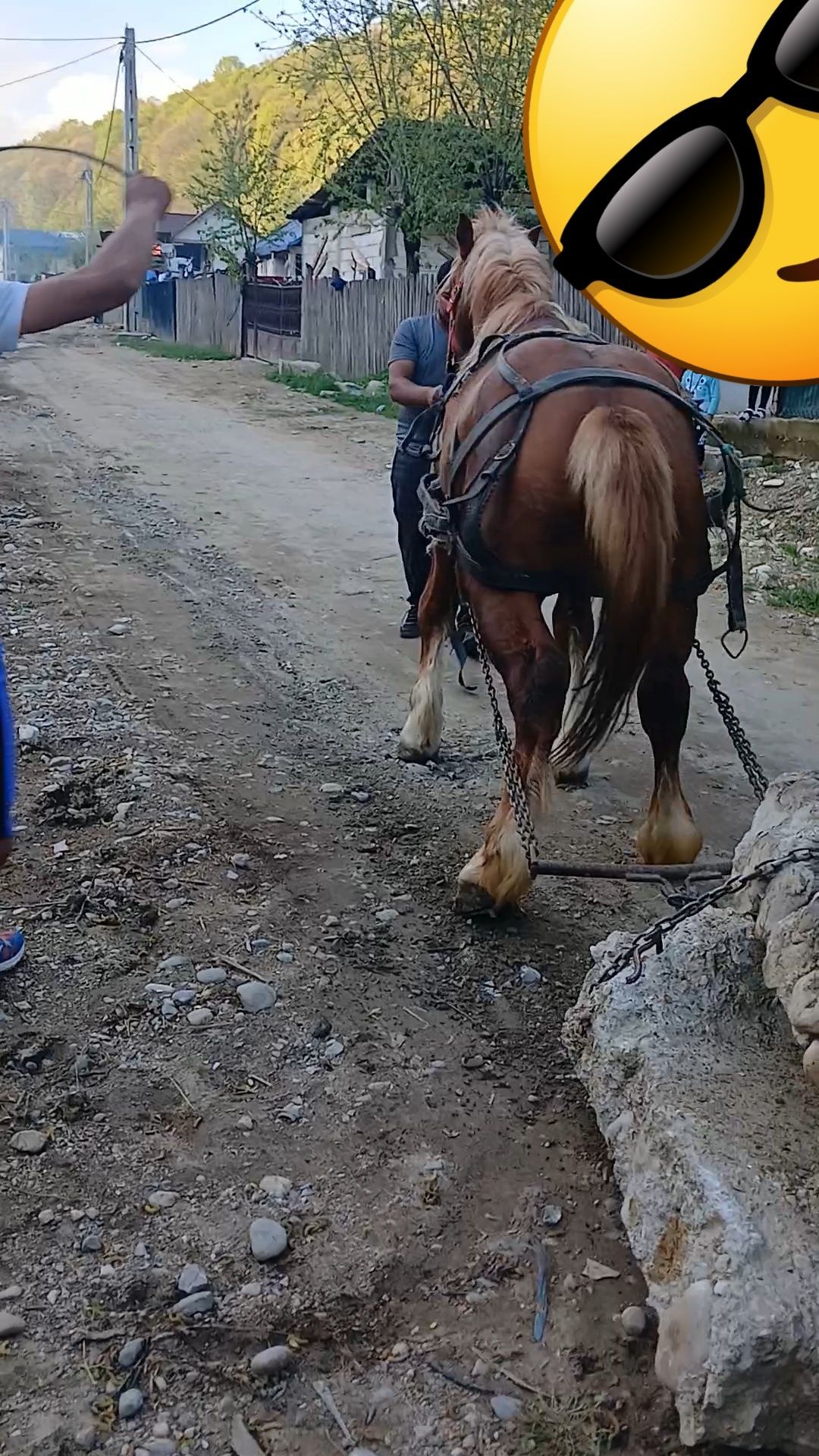 Vând cârlan semigreu