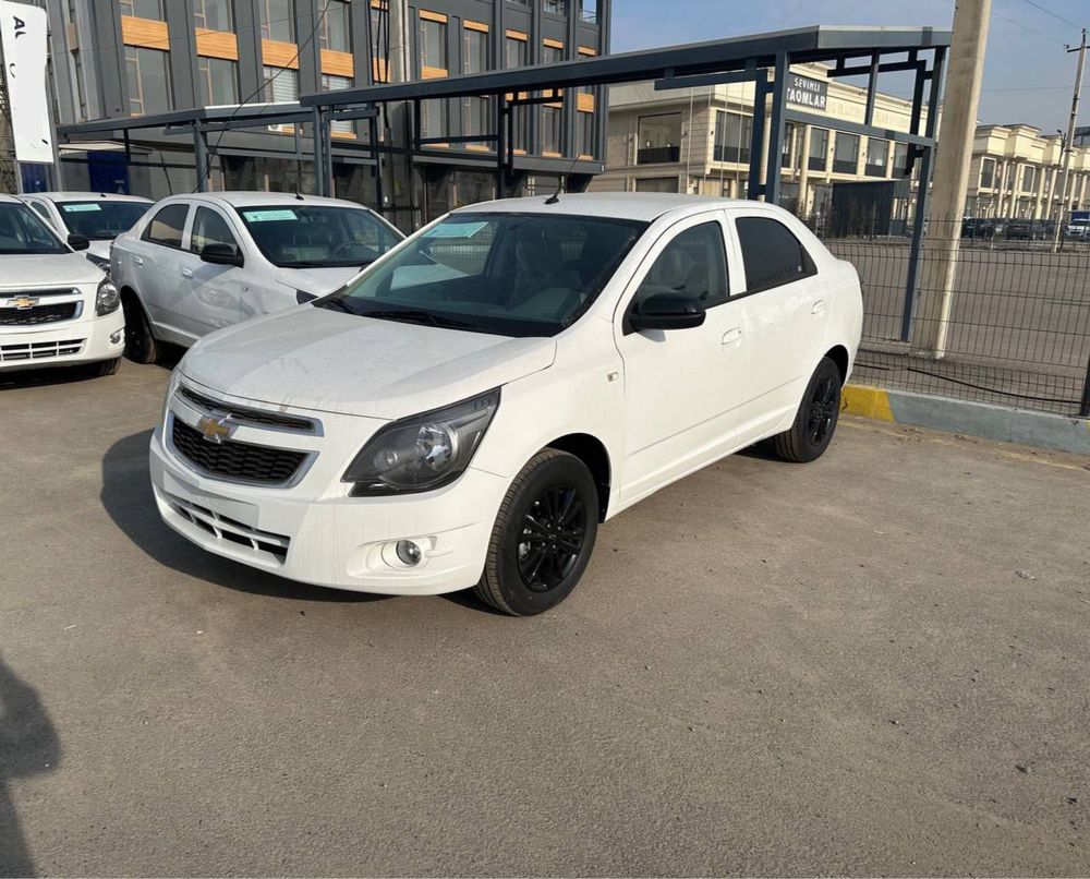 cobalt midnight masla 2025