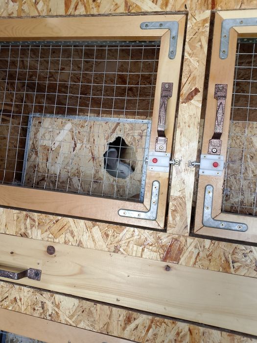 Ассалому алейкум хаммага куëн гушти сотилади