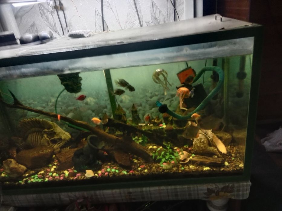Продам аквариумы.