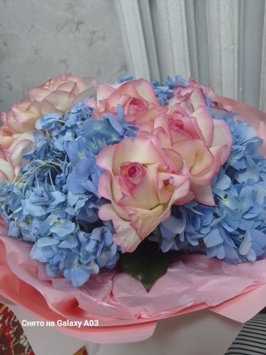 Я продаю цветы, они очень красивые.