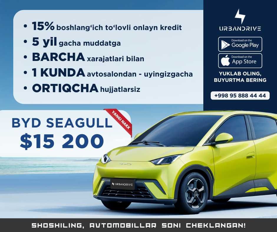 BYD Seagull Full Yangi