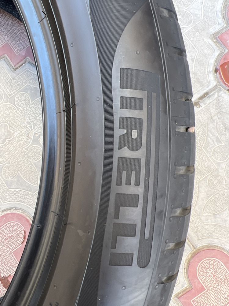 pirelli scorpion r19    3dona bor