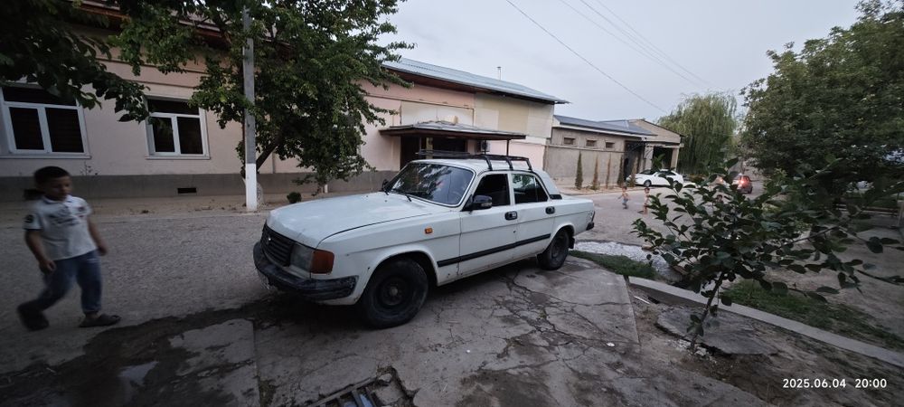 Volga 31029 yili 1996