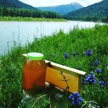 Натуральный Мёд из ВКО (Шемонаиха) Много сортов мёда - один вкуснее др