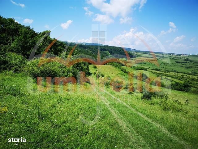 Teren de vanzare in Cluj-Napoca, Strada Soporului 2.900 mp