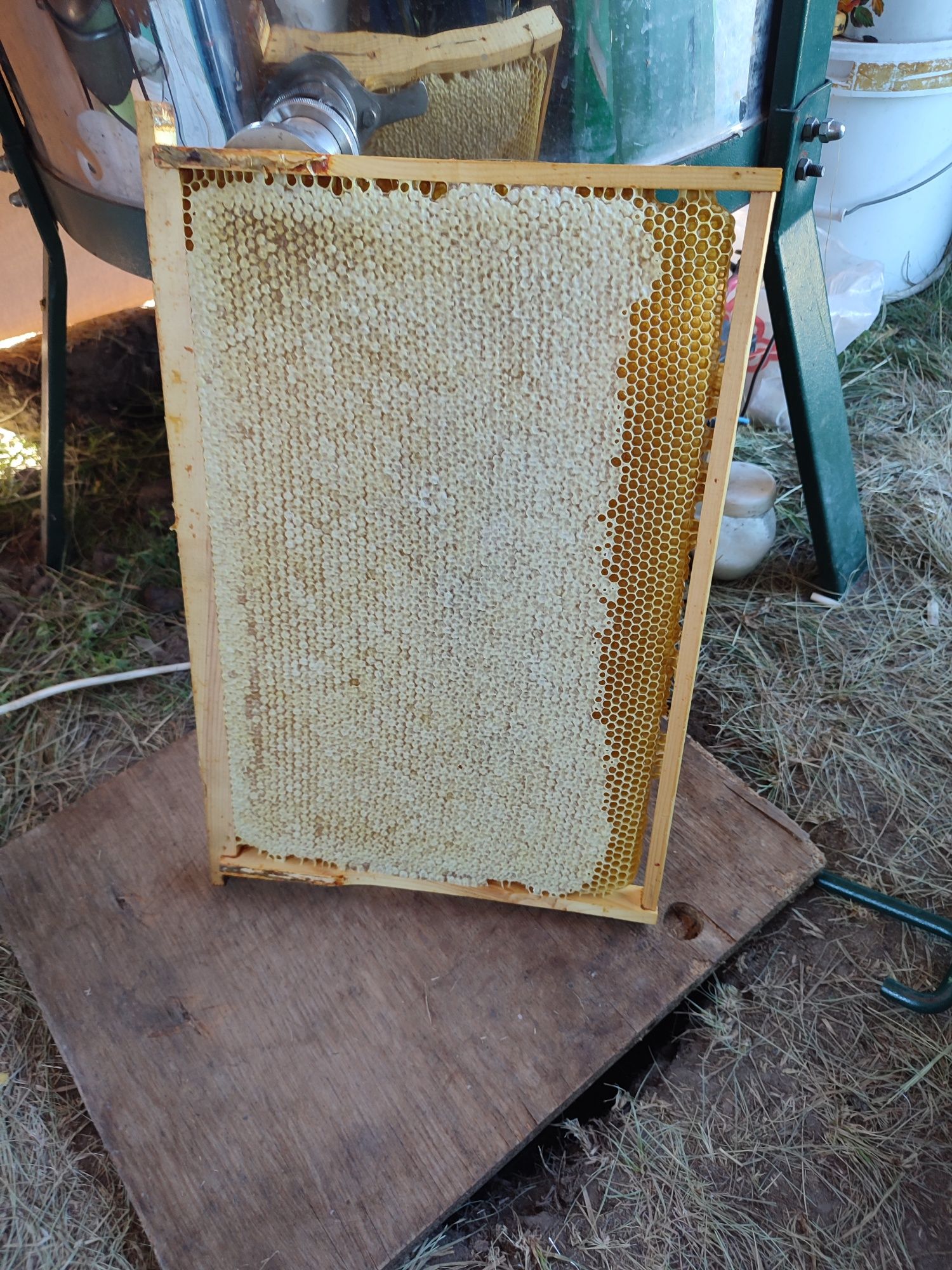 Мёд со своей пасике