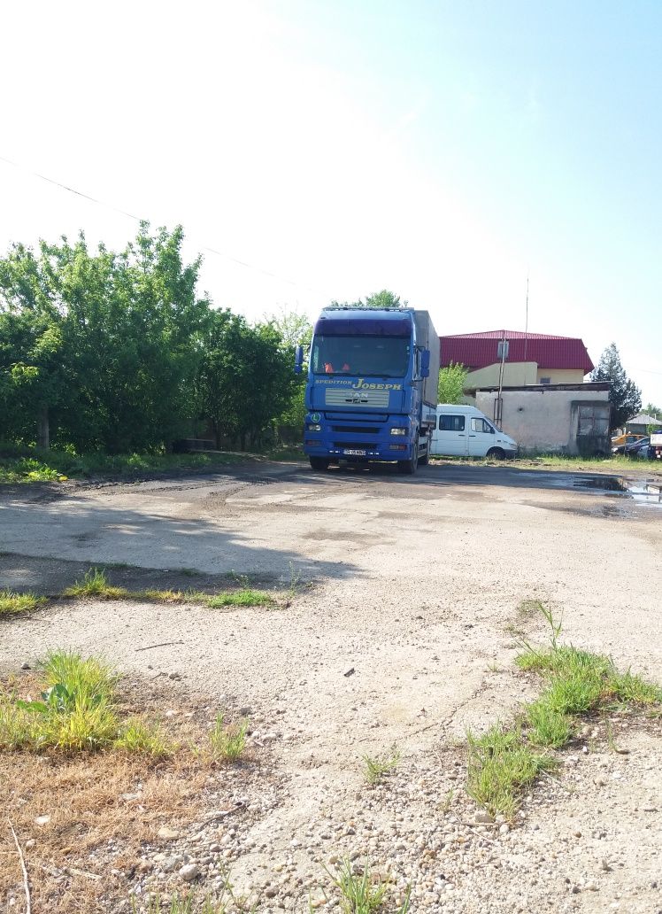 Camion apicol de vanzare MAN
