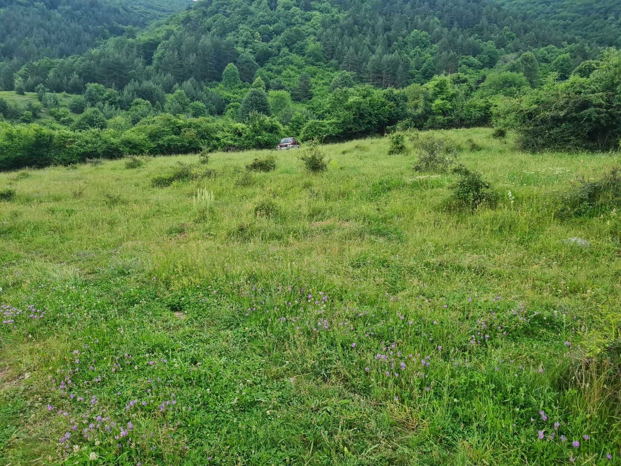 Продава се Парцел в София, 7-ми 11-ти километър - 2503 кв.м за 36 €/кв.м - Снимка #14