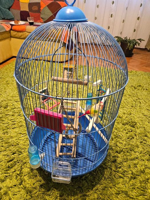 Colivie pentru papagali complet echipata