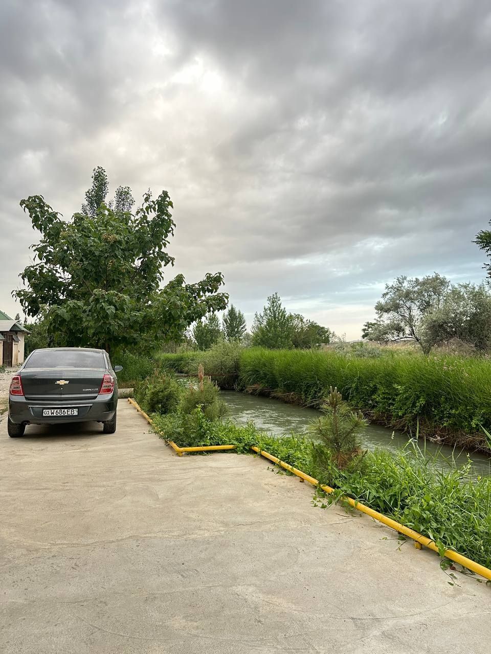 Oqtosh dacha ga yaqin dacha baliq TUTSA boladi
