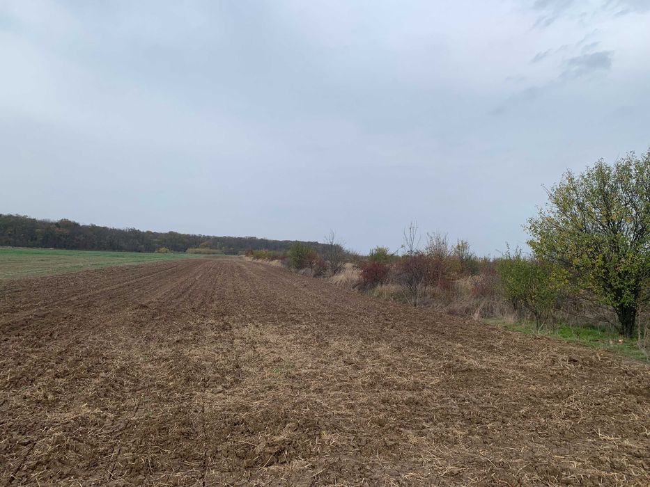 Teren de casa Sabareni linga padure 10 minute pina in Bucuresti