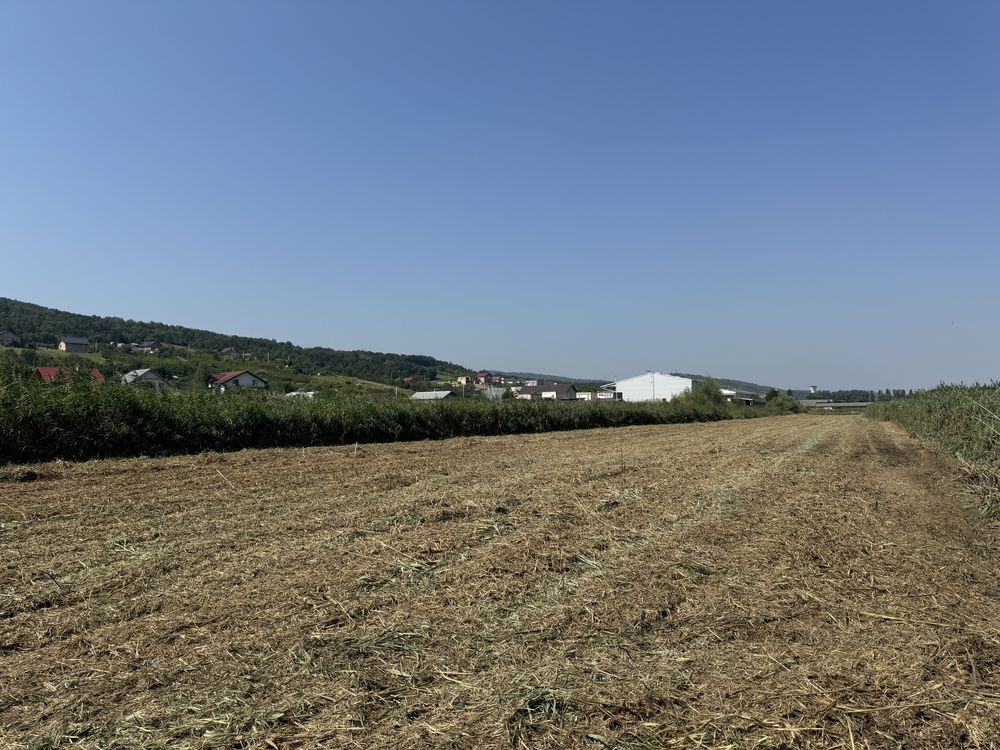 Urgent! - Persoana fizică- teren intravilan industrial Tomesti