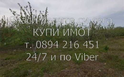 Овошки 5400м2, череши, праскови, кайсии в отл. състояние - код 61476