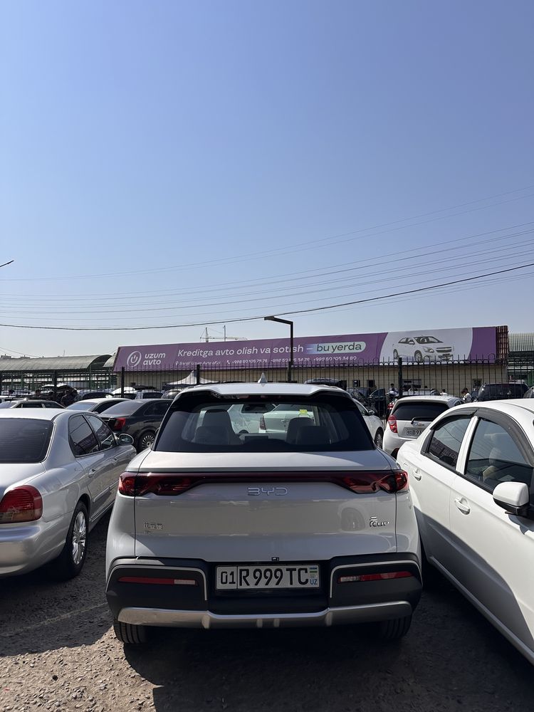 Byd yuan up 2024