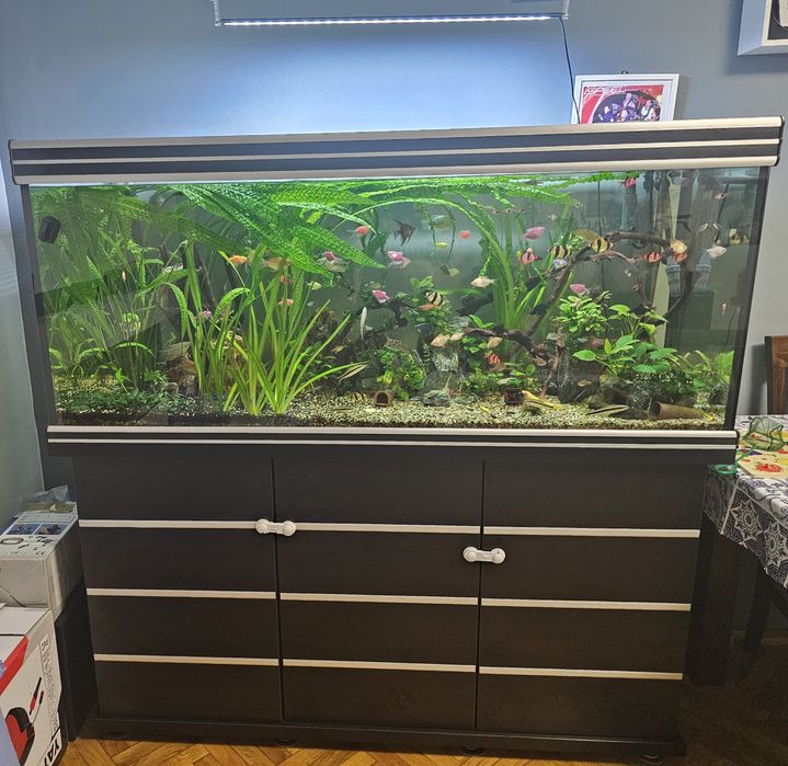Acvariu complet 450L