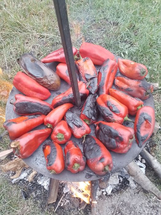 Vand gratar din taler de disc agricol nou cu stanta