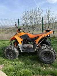 Vand atv goes 220