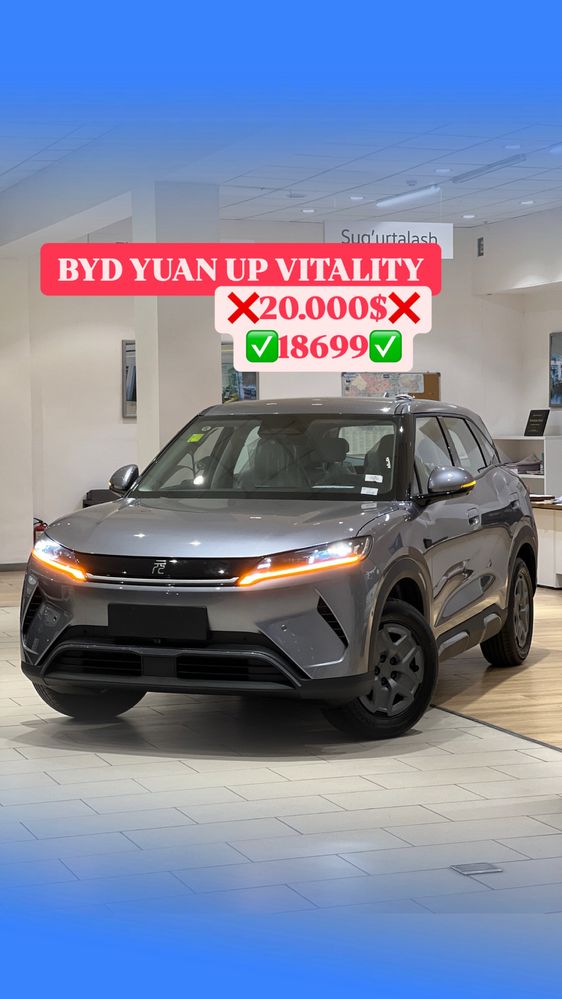 BYD Yuan Up Smart 2025