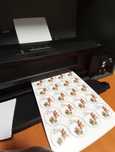 Принтер L 1800 epson