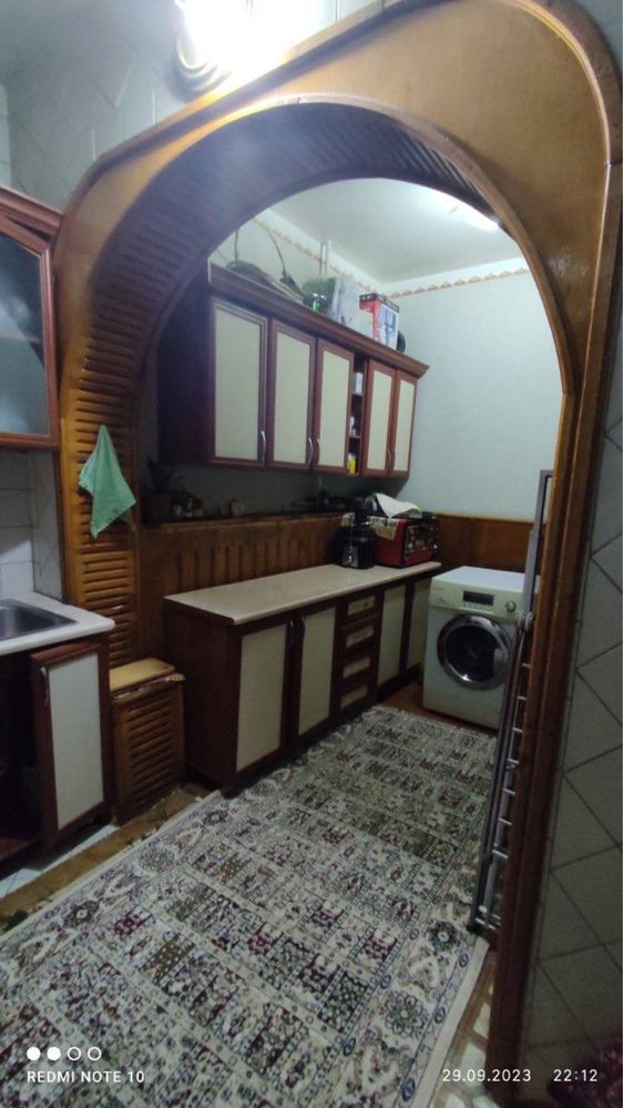 Qora qamish 2/4 Chimboyda 2/3/4