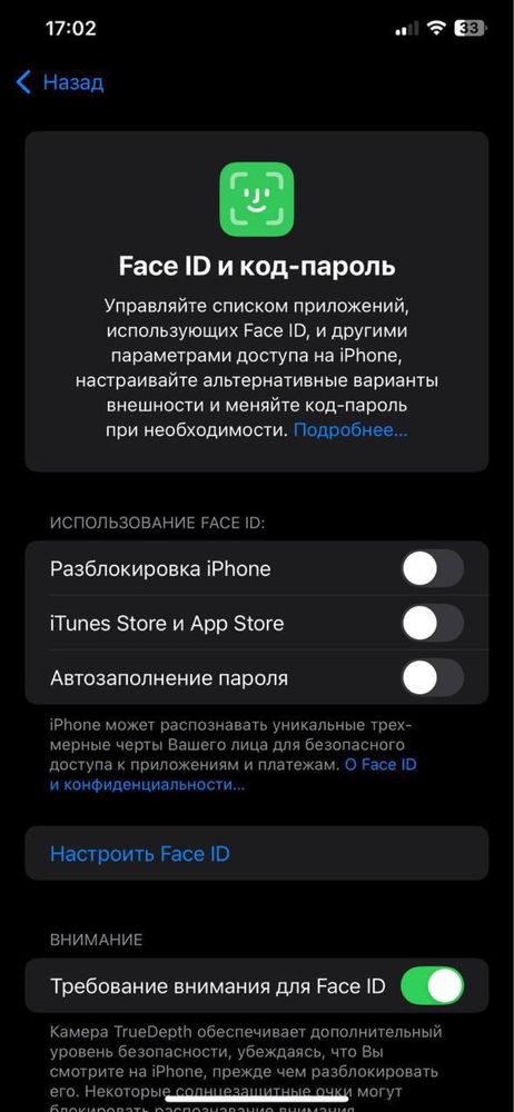 Ayfon xs max 256