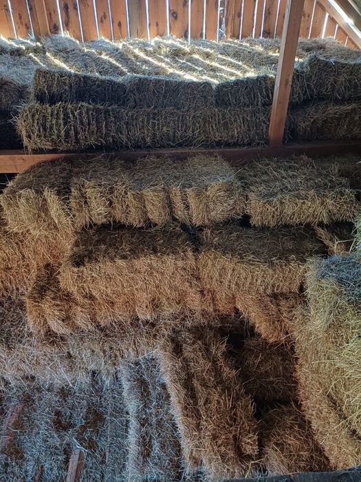 Vand baloti de fan 18 lei bucata