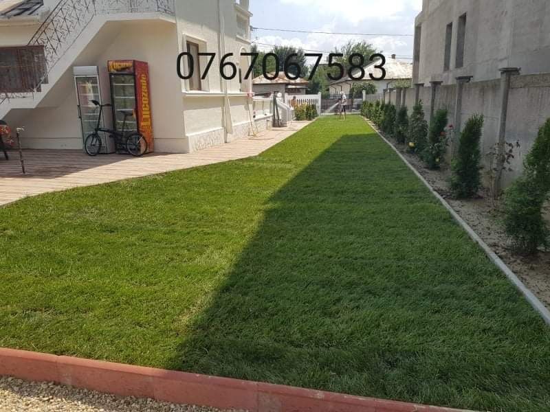 Gazon premium plante ornamentale piatră naturală sistem de irigații