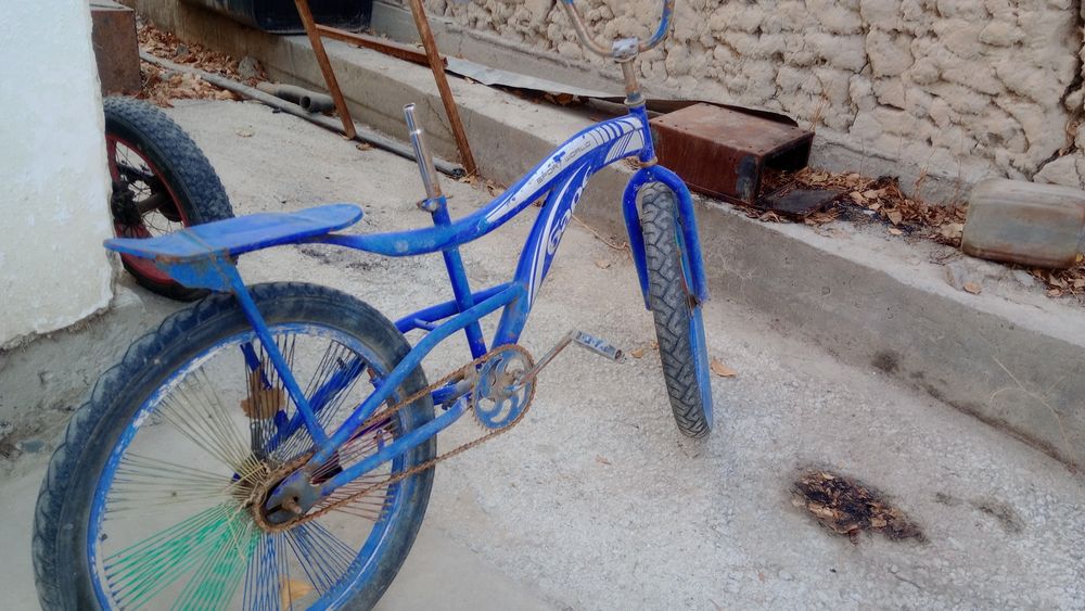 Velosped Bars 20 2024