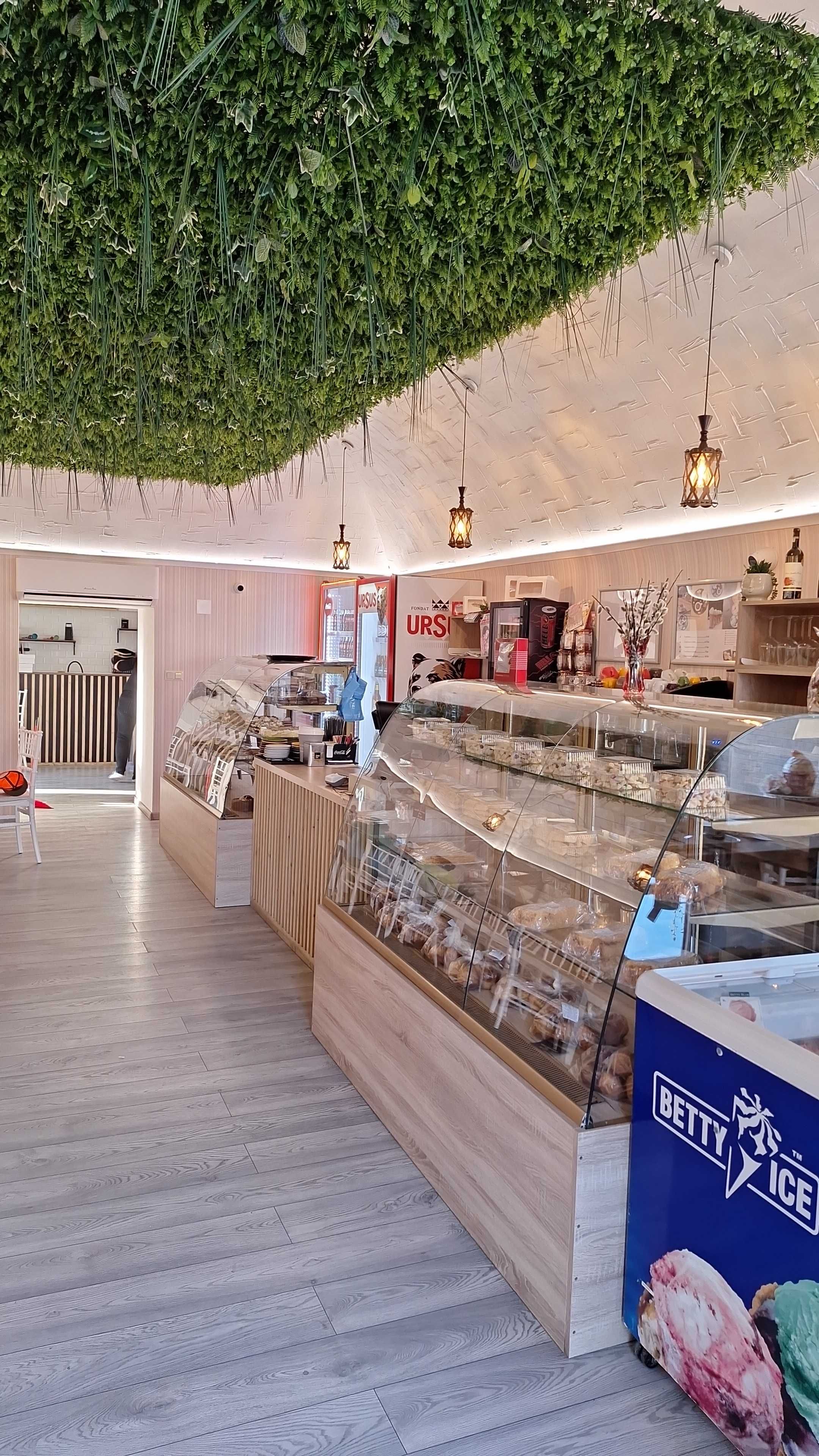 Vand afacere cofetărie/cafenea/bistro!!!