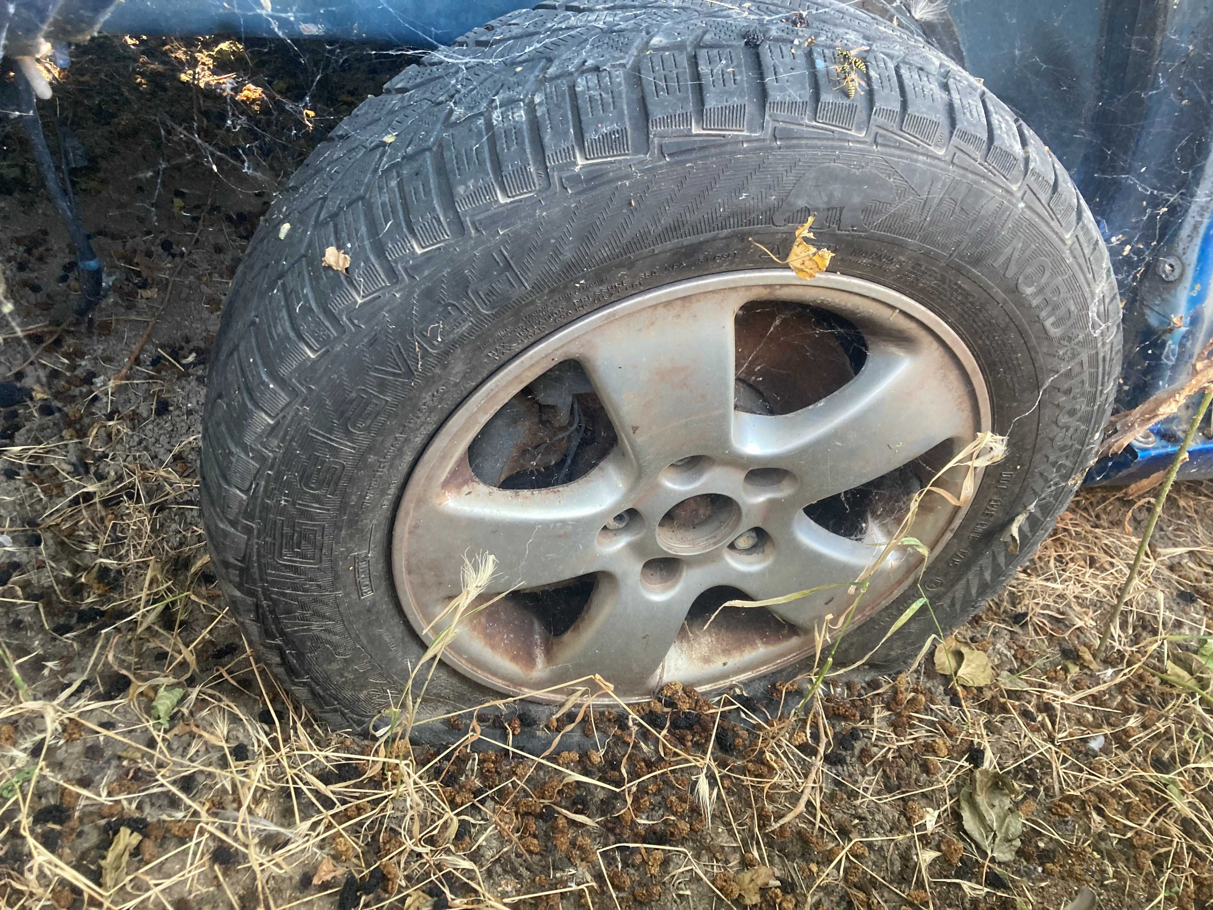 Фолксваген Поло/Volkswagen Polo