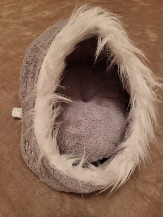 culcus/vizuina pisici