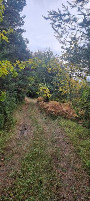 Парцел извън регулация