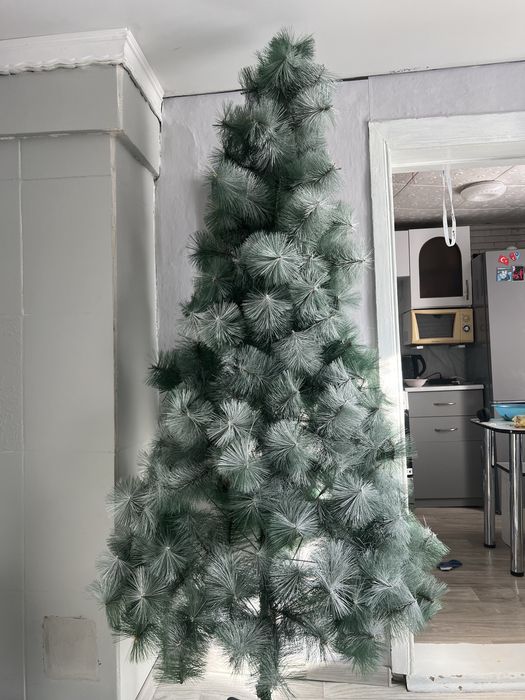 Продам елку, высота 2м 5 см