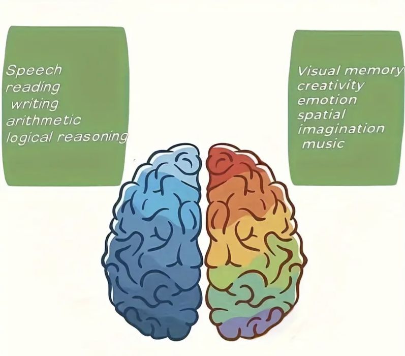 Образователни карти игра за деца и възрастни за развитие на мозъка