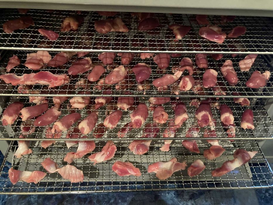 Gustari din carne deshidratata pentru caini, pisici 100% naturale