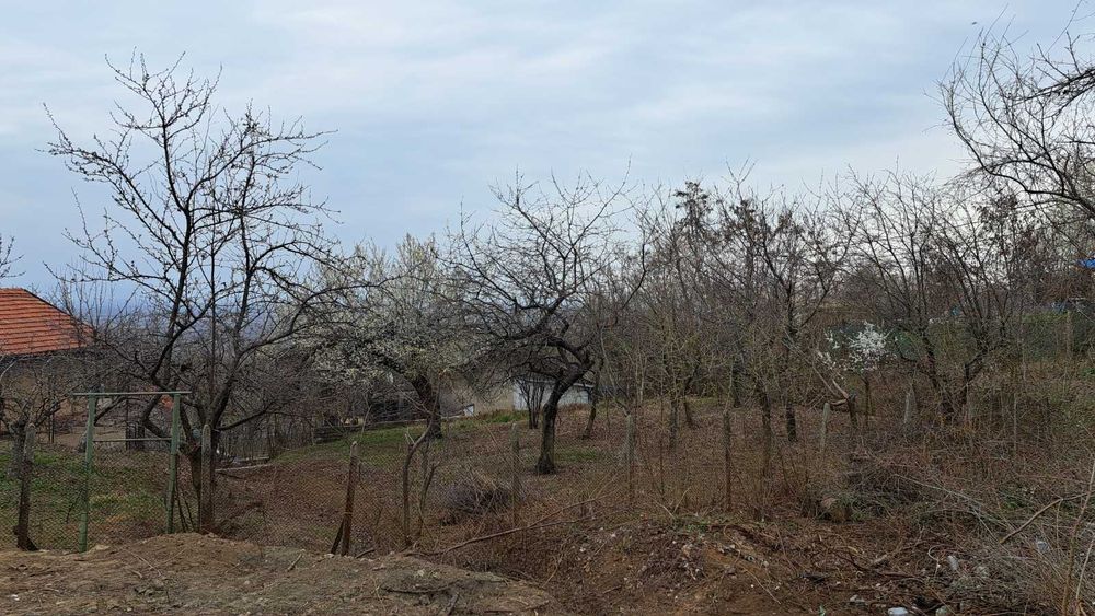 Имот в землището на с.Брестник