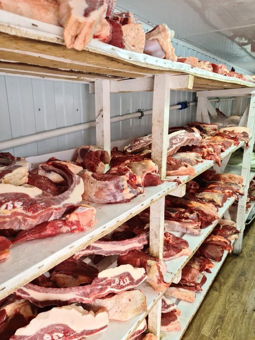 Согым на любые мероприятия