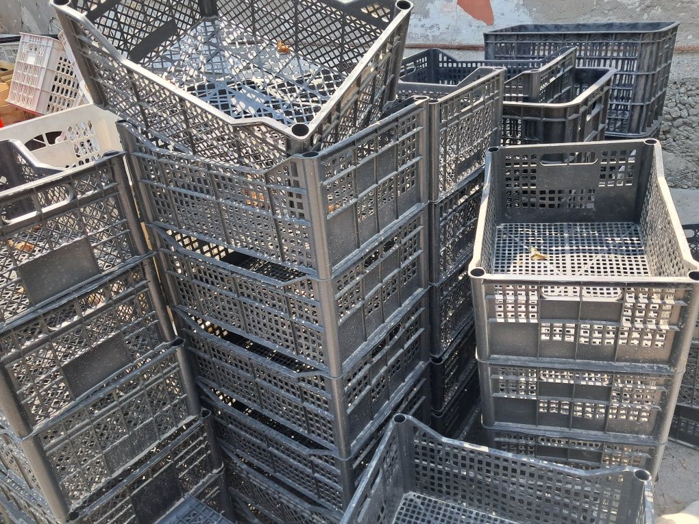Banan karobka holati yangi