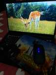 Asus vivobook Go 14/15