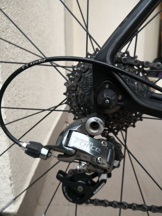 Cursiera carbon Focus