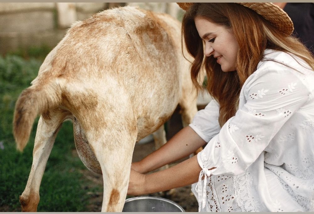 Козье молоко. Ешки сүті. 800тг