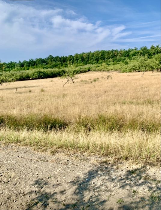 Vând direct ca persoană fizicǎ (proprietar) teren în Şomcuta Mare