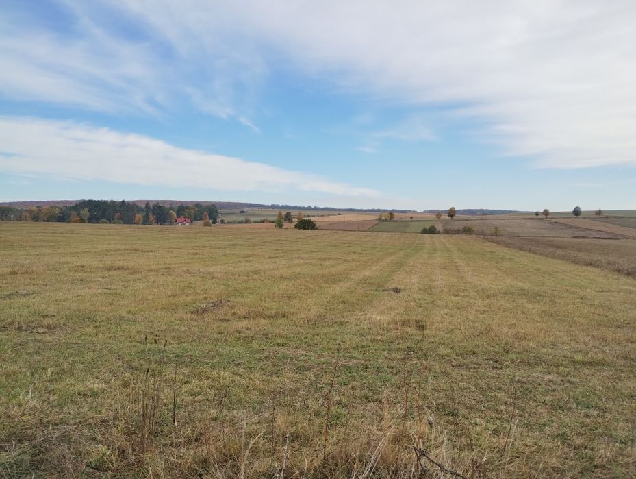 Vând 30 ari teren intravilan/extravilan