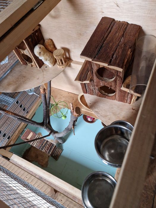 Vând cușcă veverițe ( rozătoare )