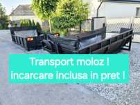 Transport moloz-deseu constructi pe raza orasului