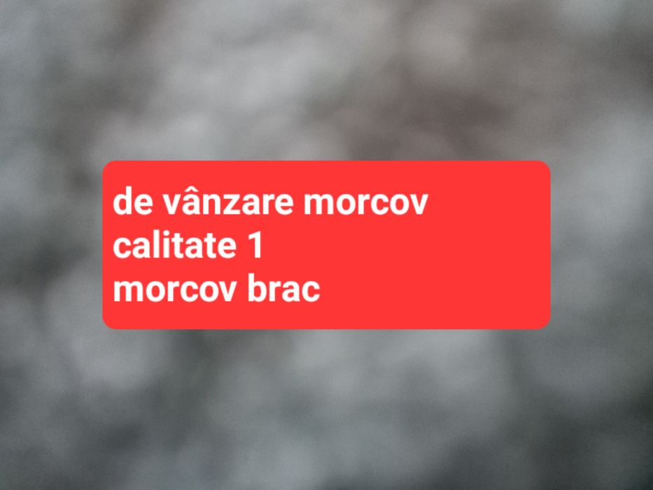 Angro sau cantitate mica