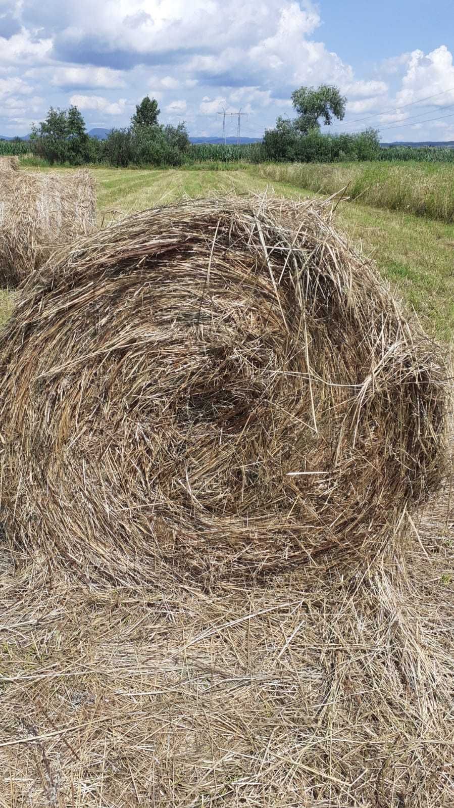 Vând baloți rotunzi de fân